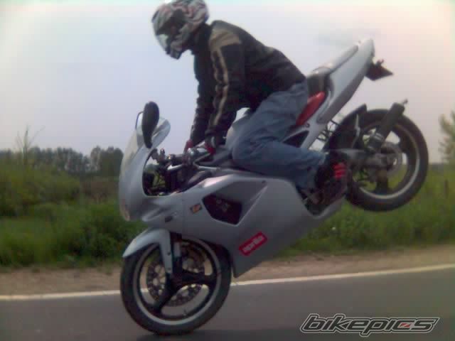 Photo 1481572