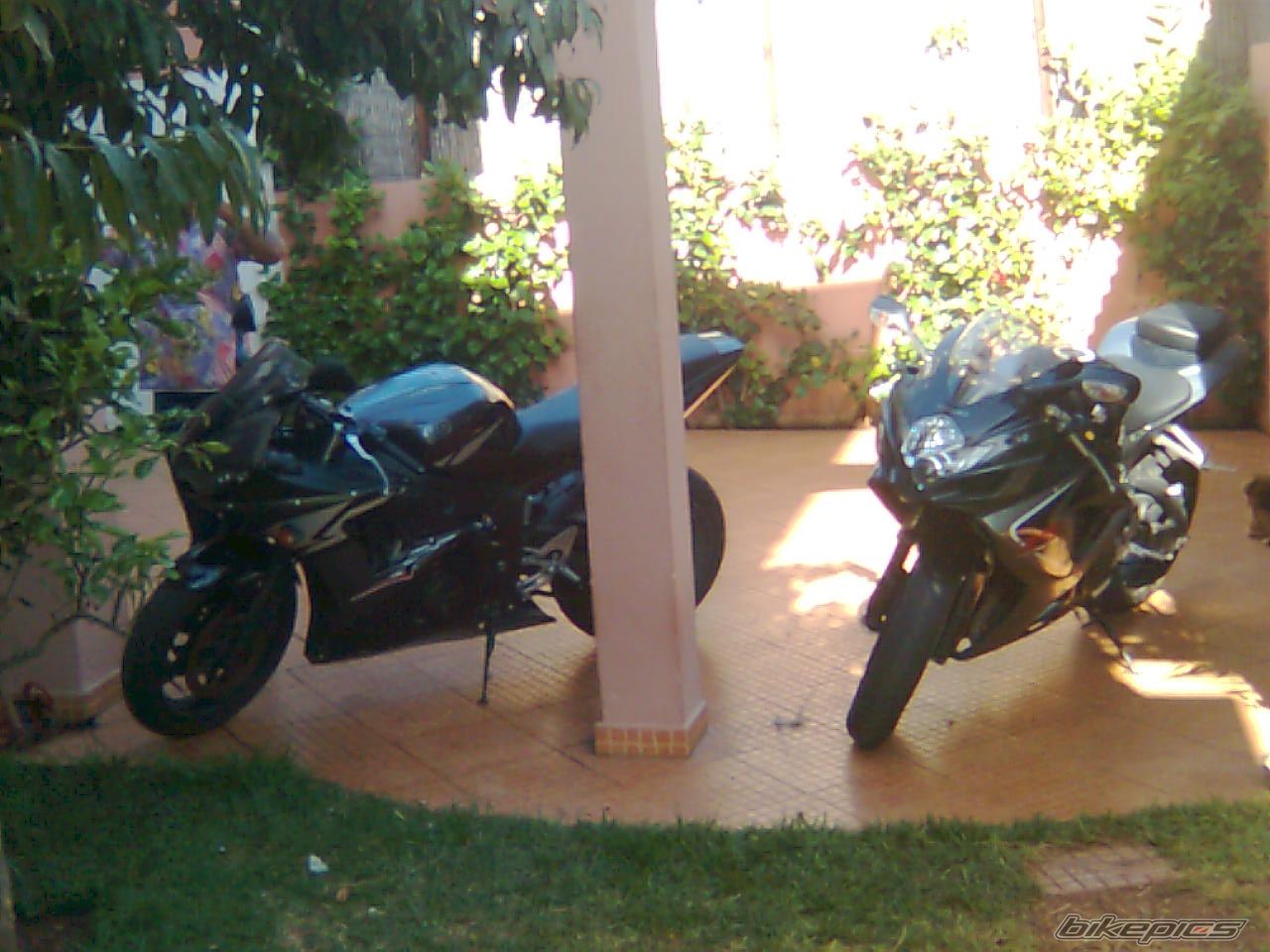 Photo 1481626