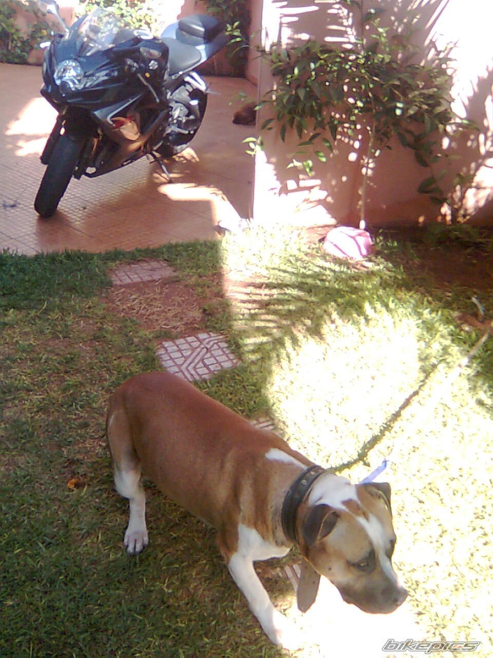Photo 1481627