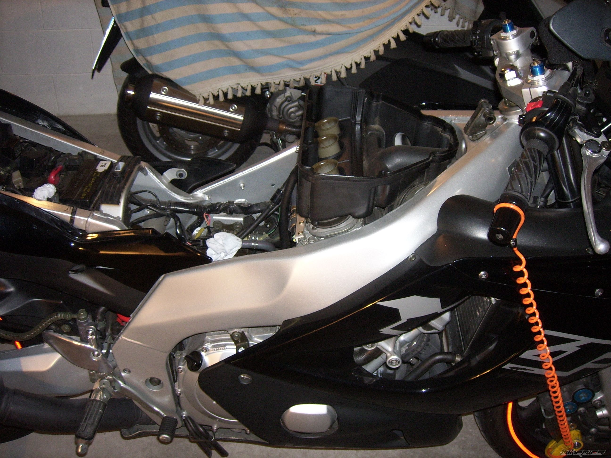 Photo 1481639