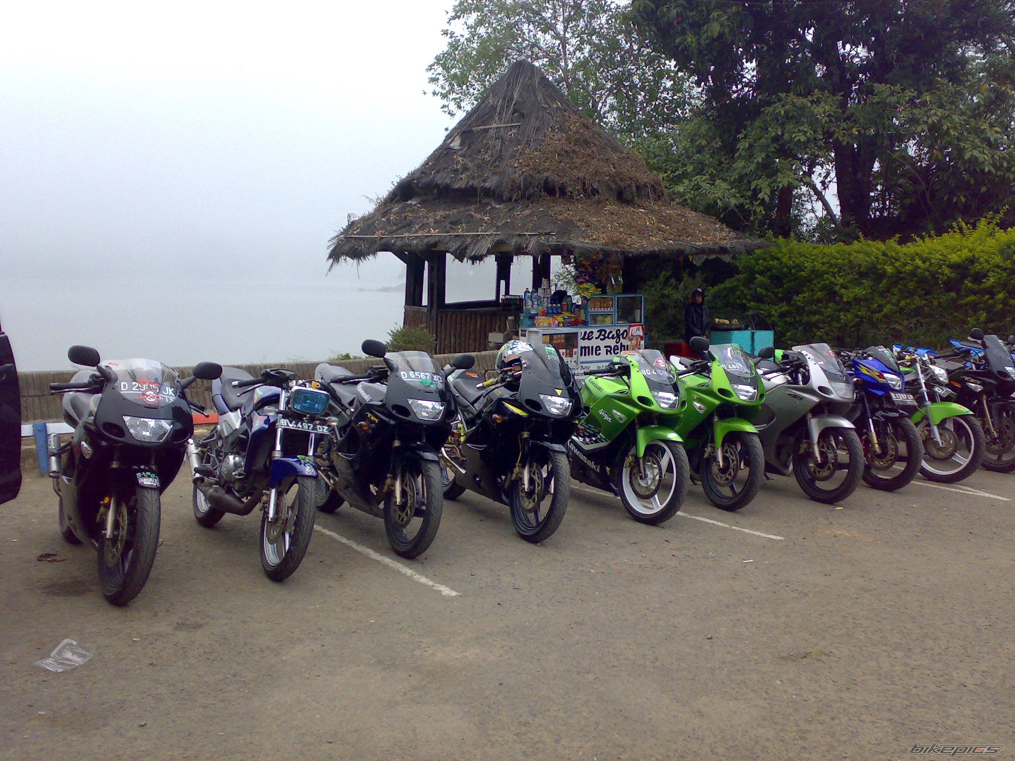 Photo 1481640