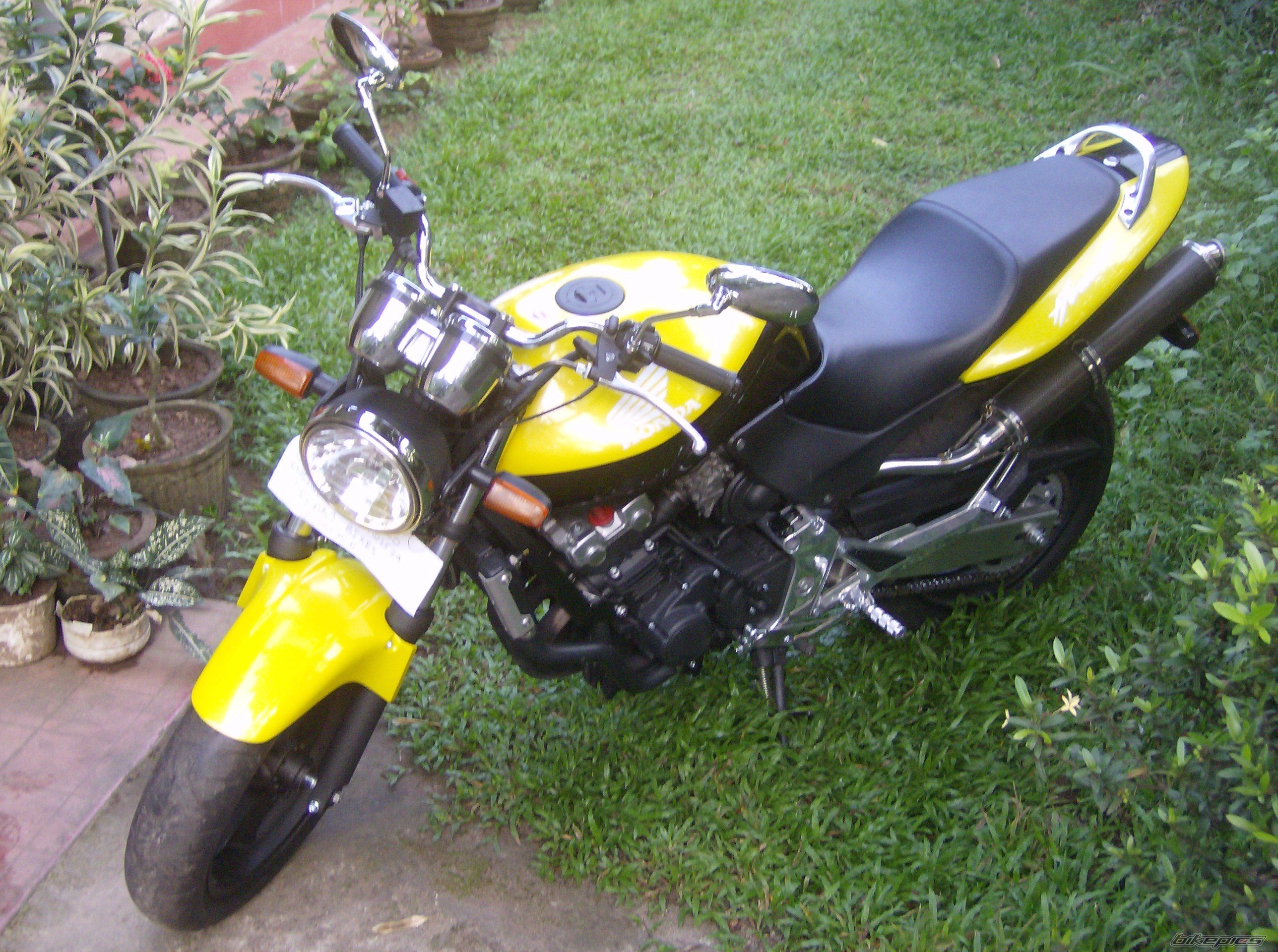 Photo 1481647