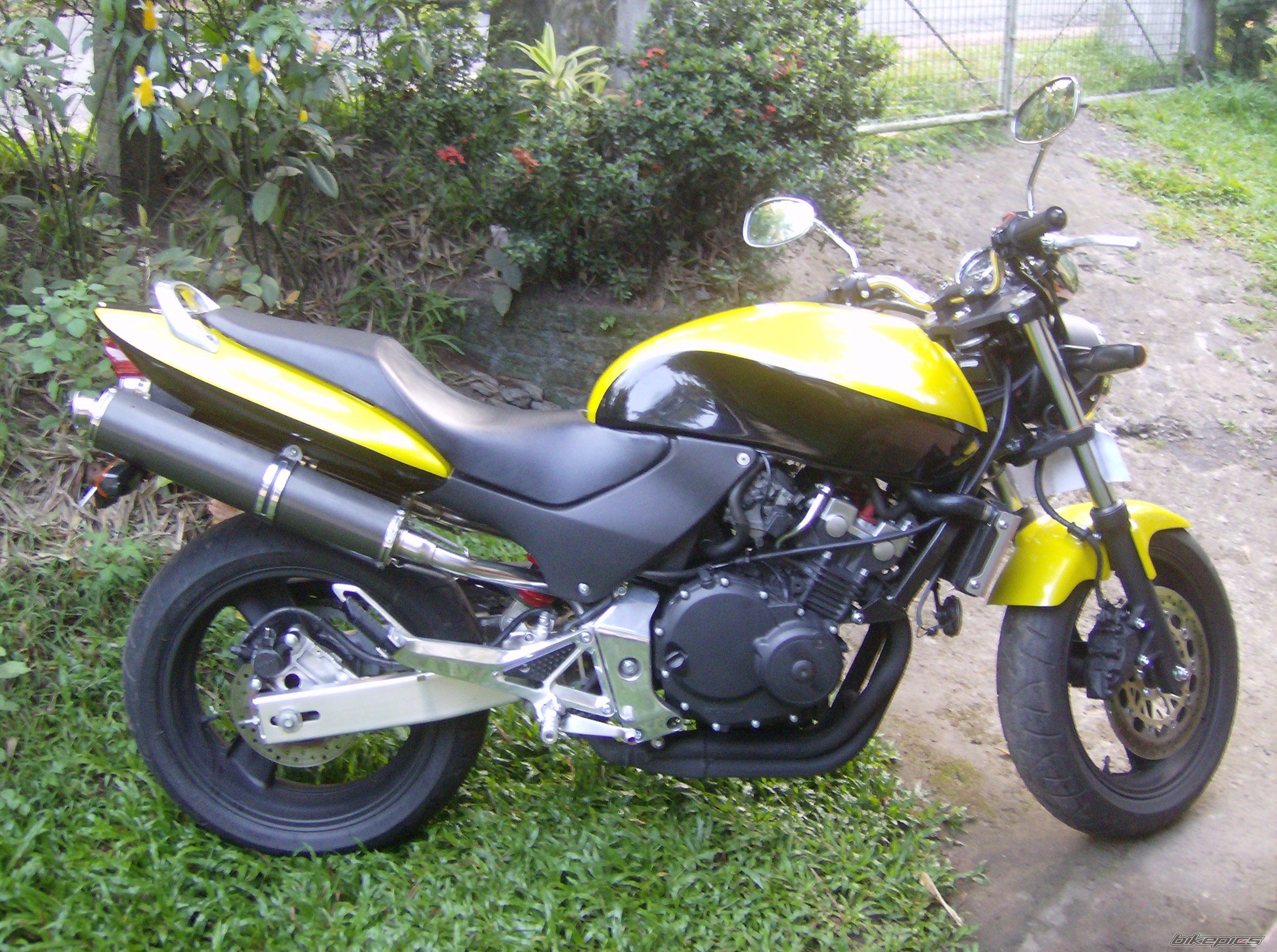 Photo 1481649