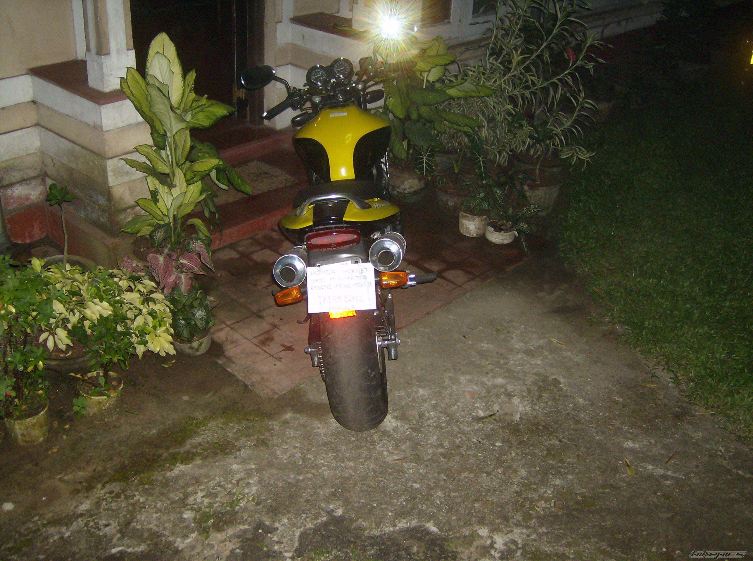 Photo 1481653
