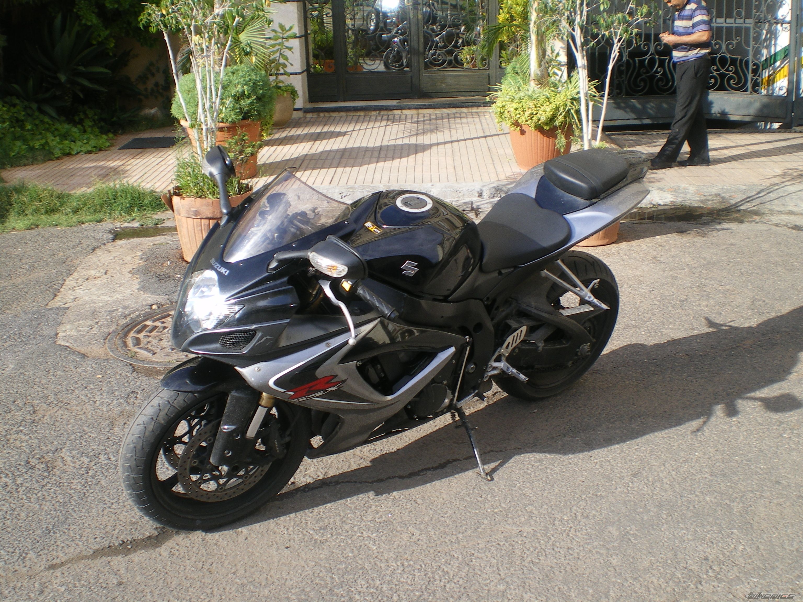 Photo 1481691