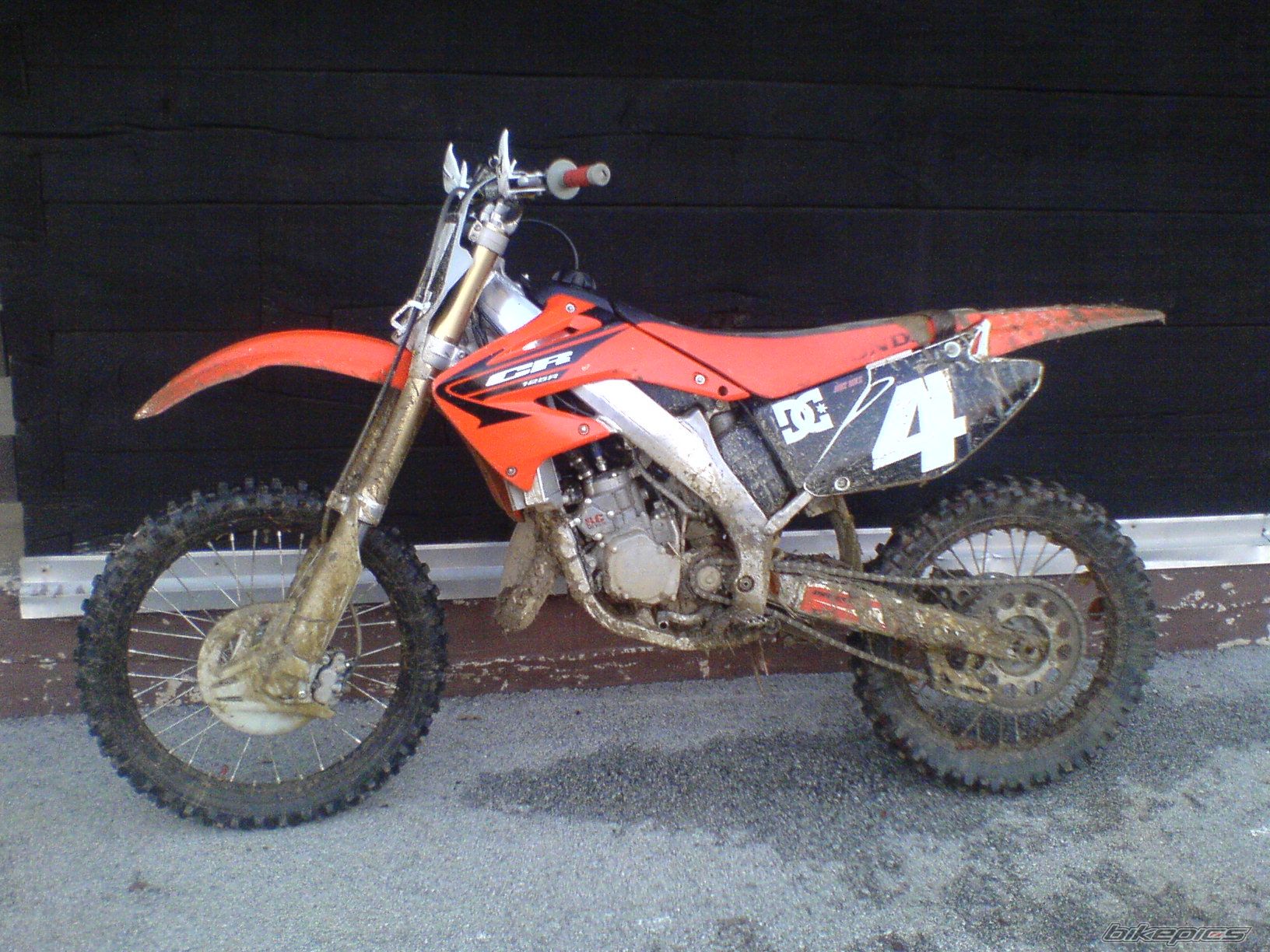 Photo 1481725