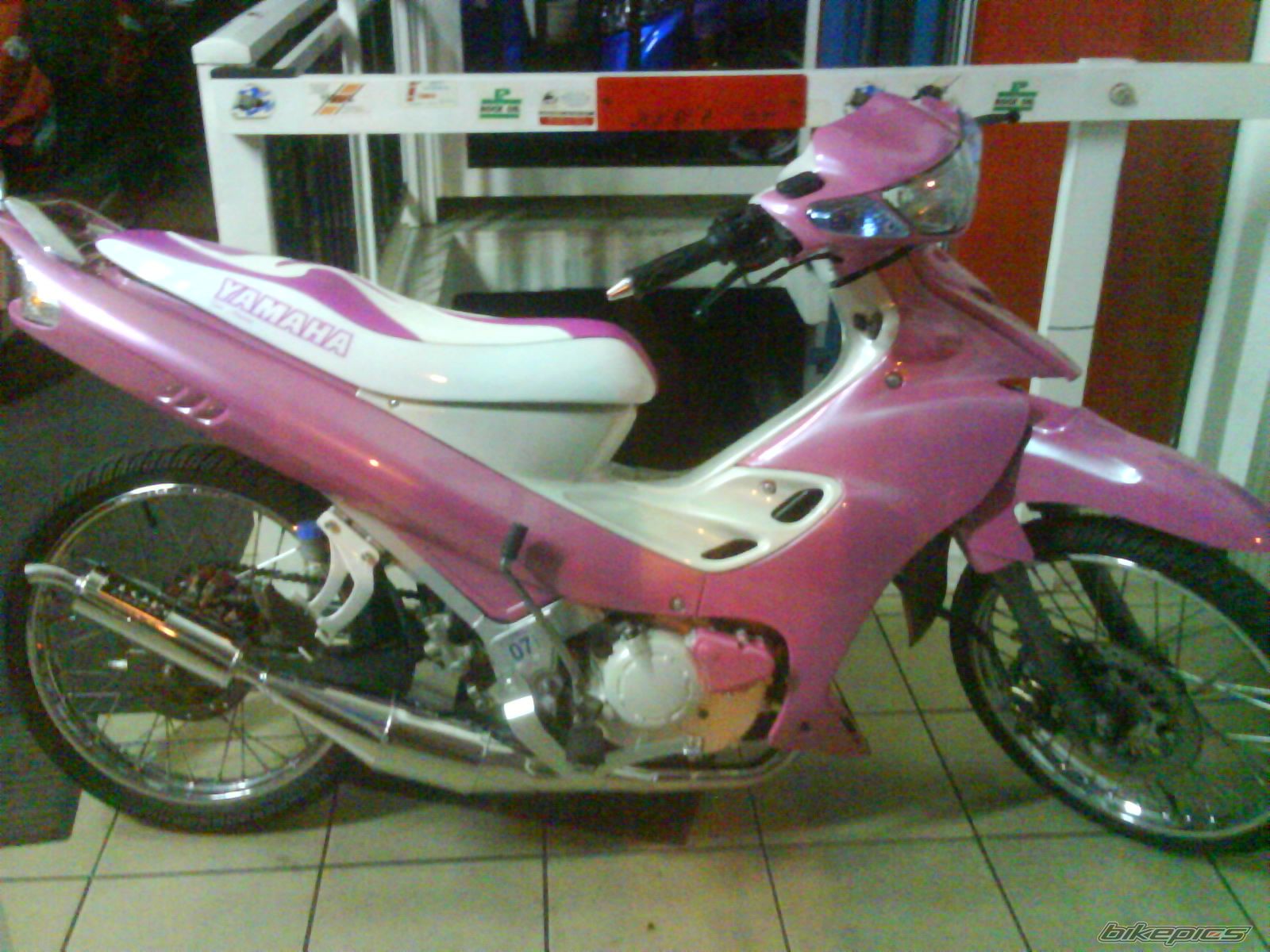 Photo 1481737
