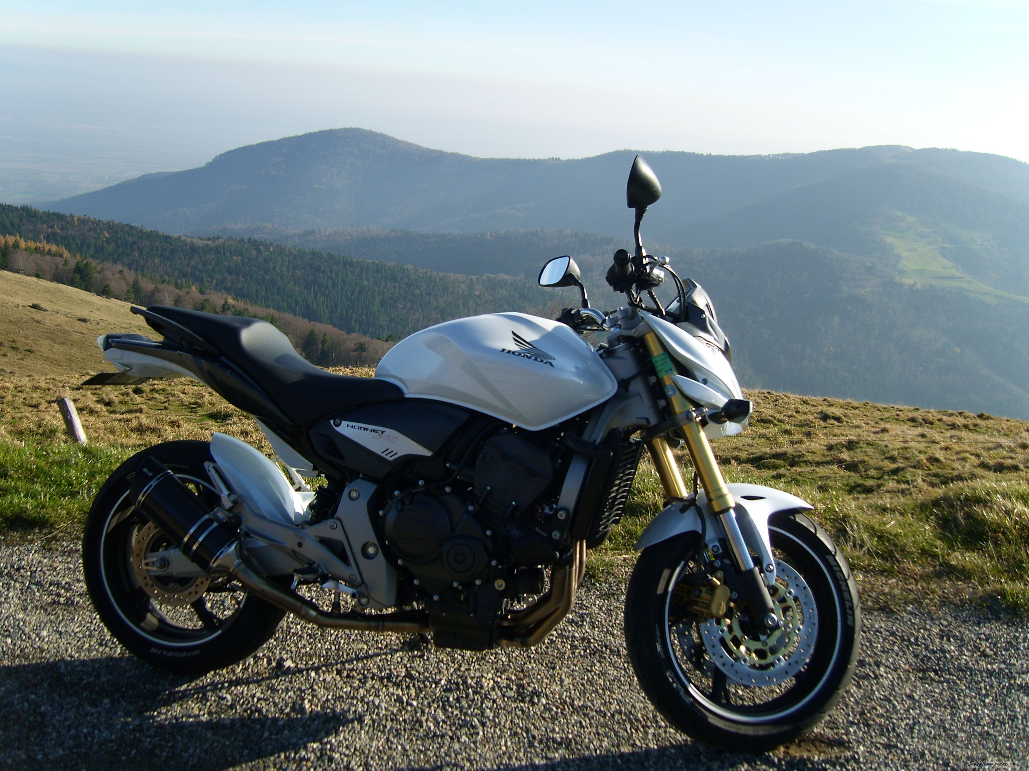 Bike Photo 1481738