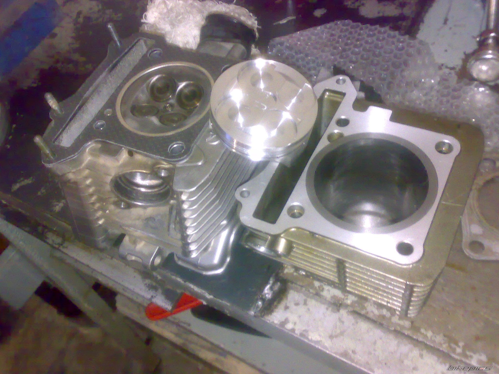 Photo 1481764