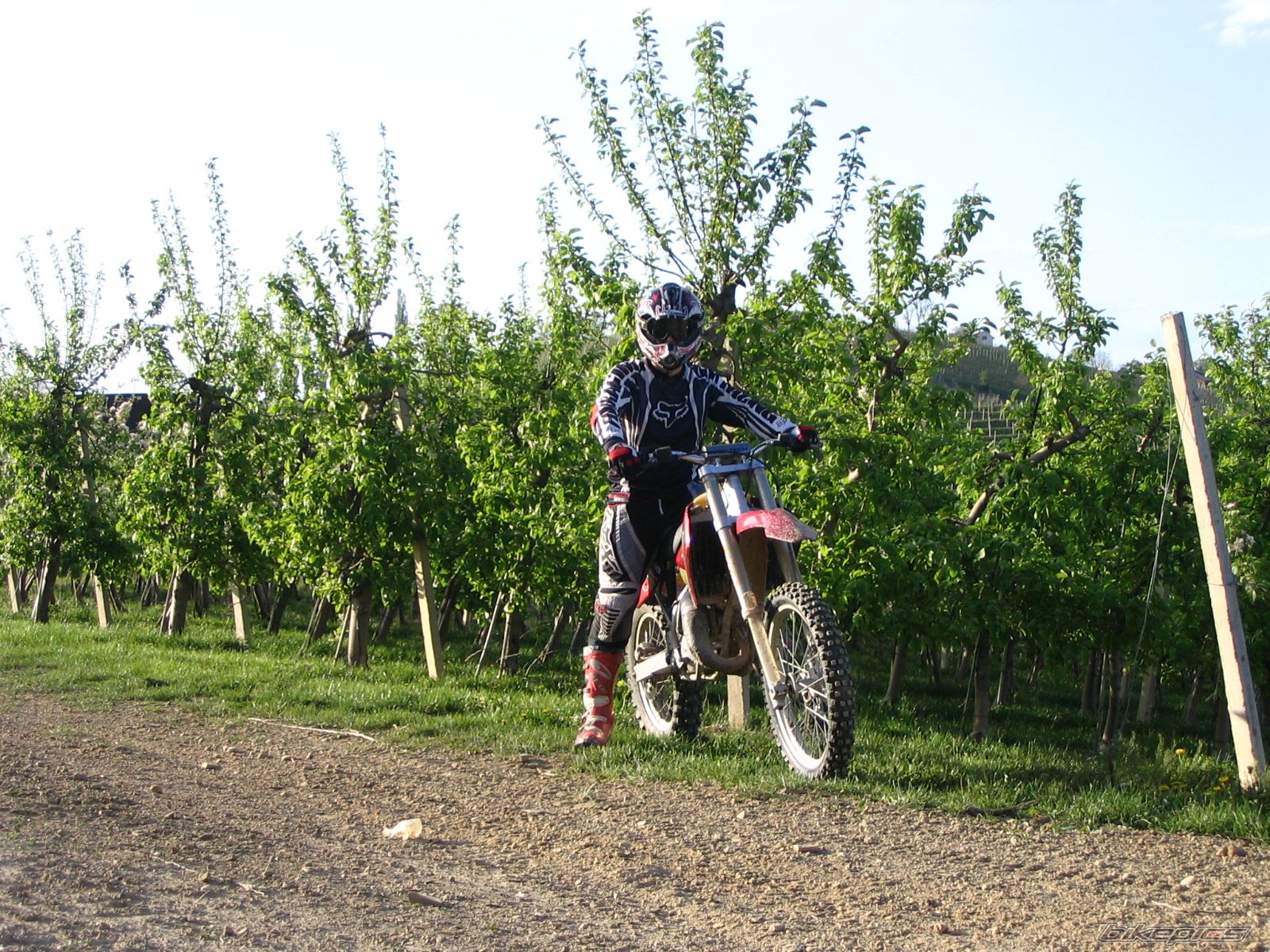 Photo 1481788