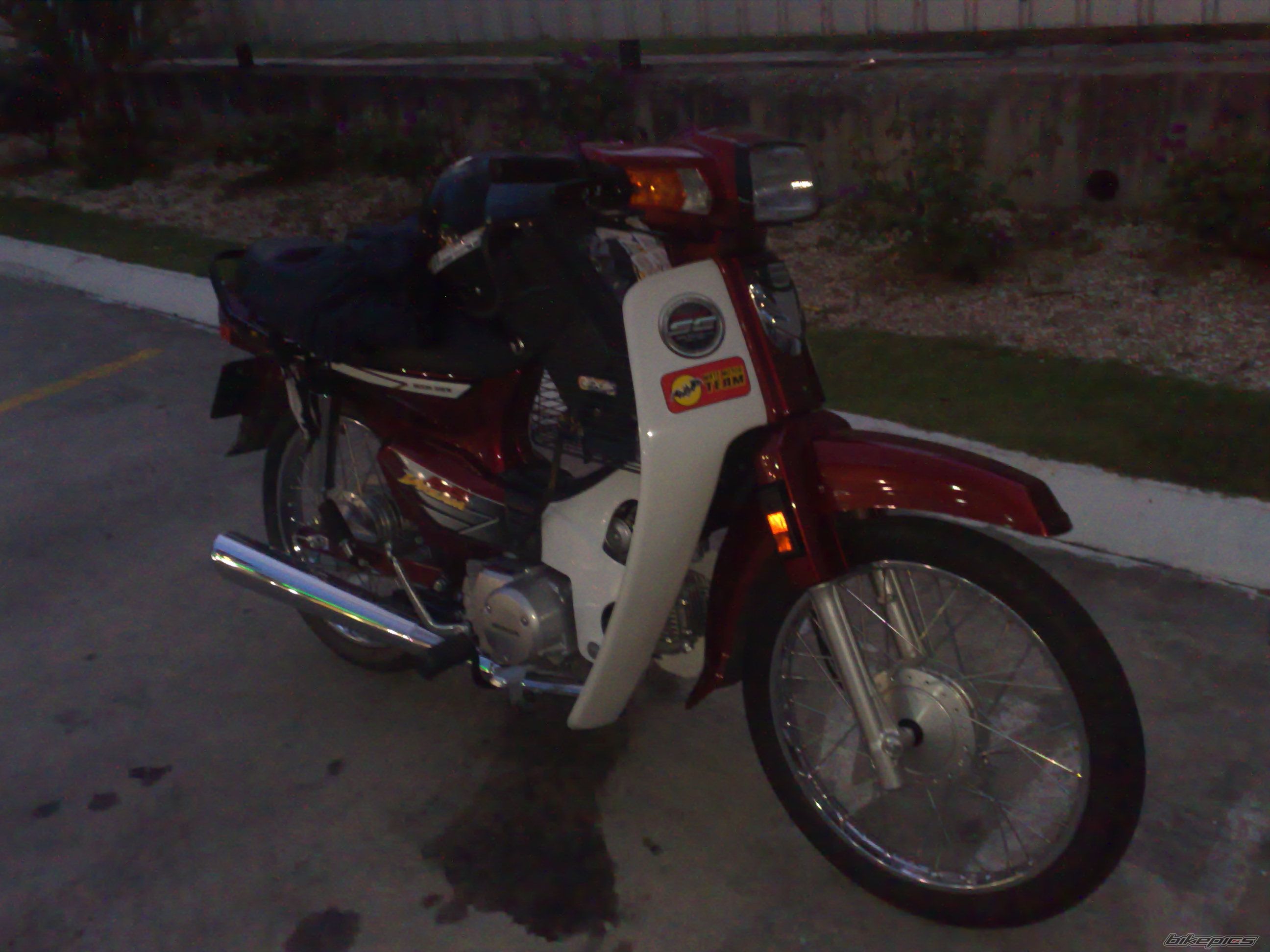 Photo 1481833