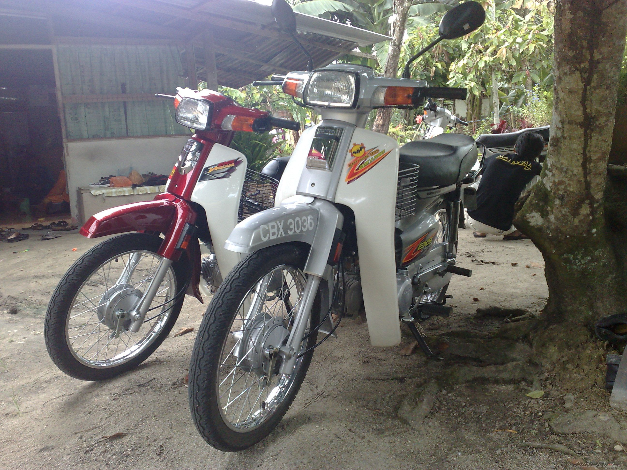 Photo 1481838
