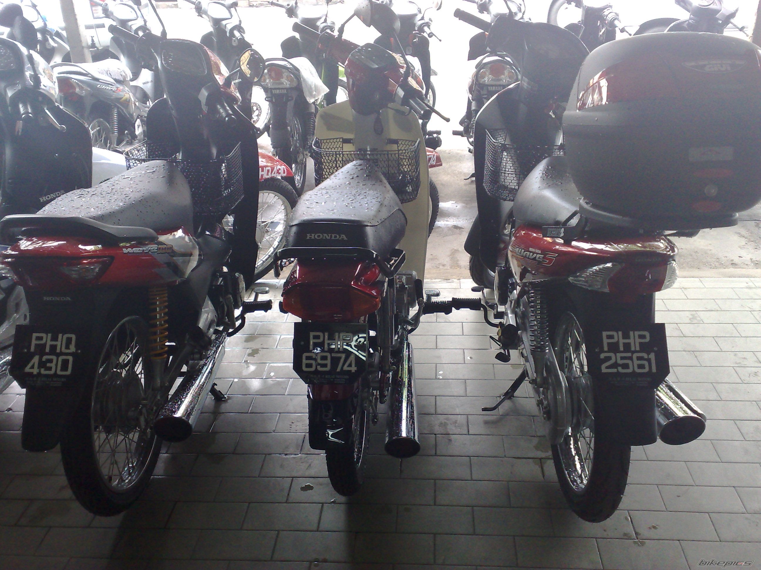Photo 1481844