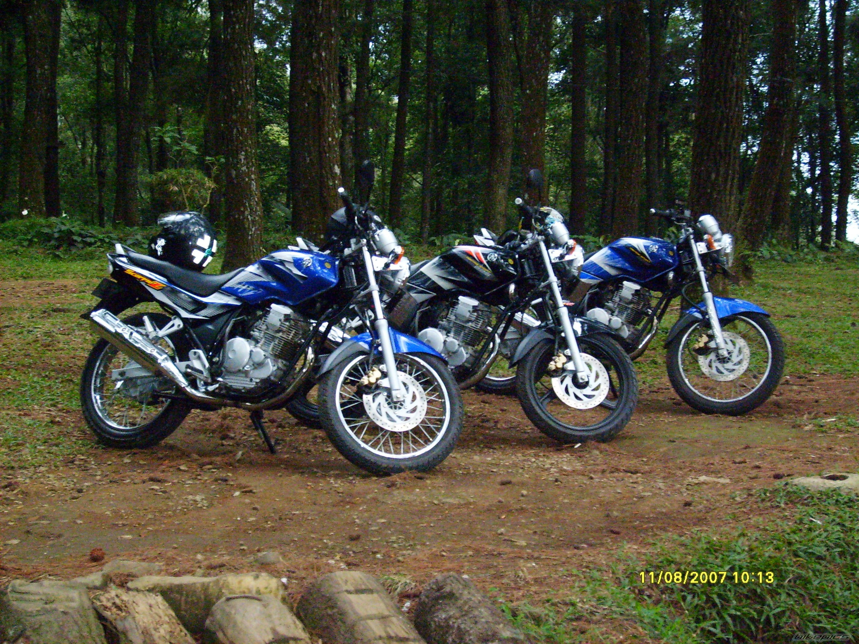 Photo 1481851