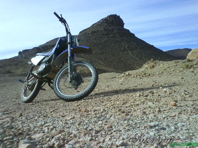 Photo 1481862