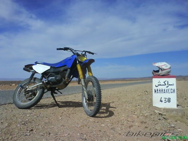 Photo 1481865
