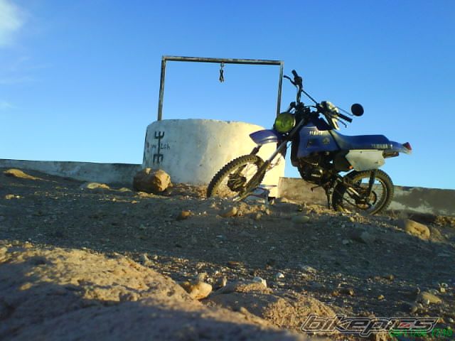 Photo 1481868