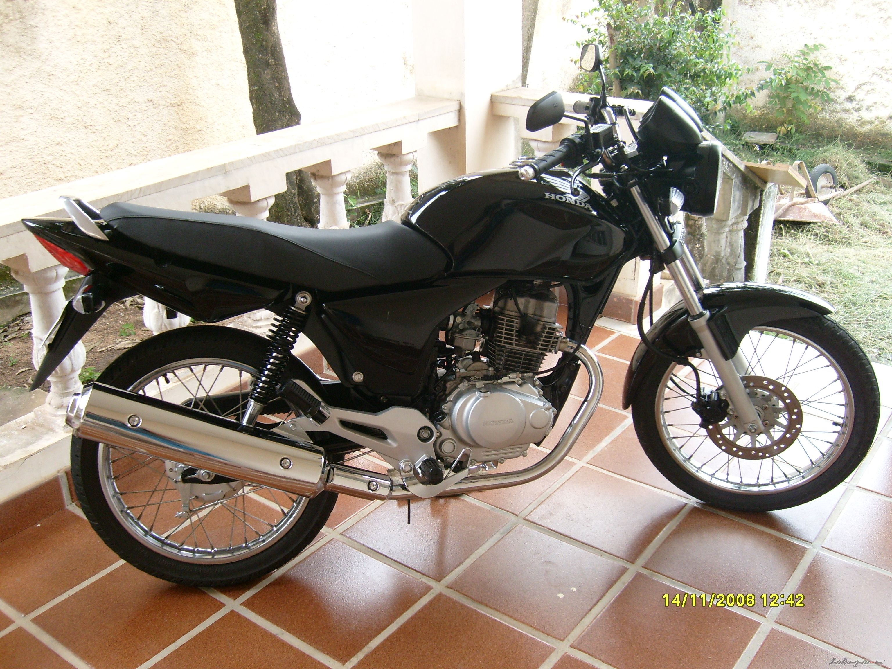 Photo 1481921