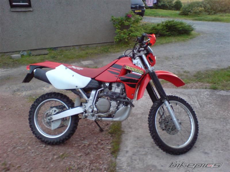 Photo 1481943