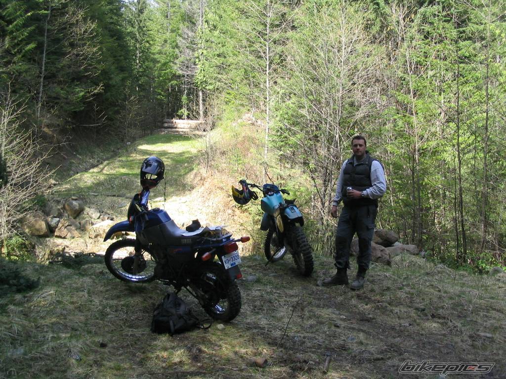 Photo 148205