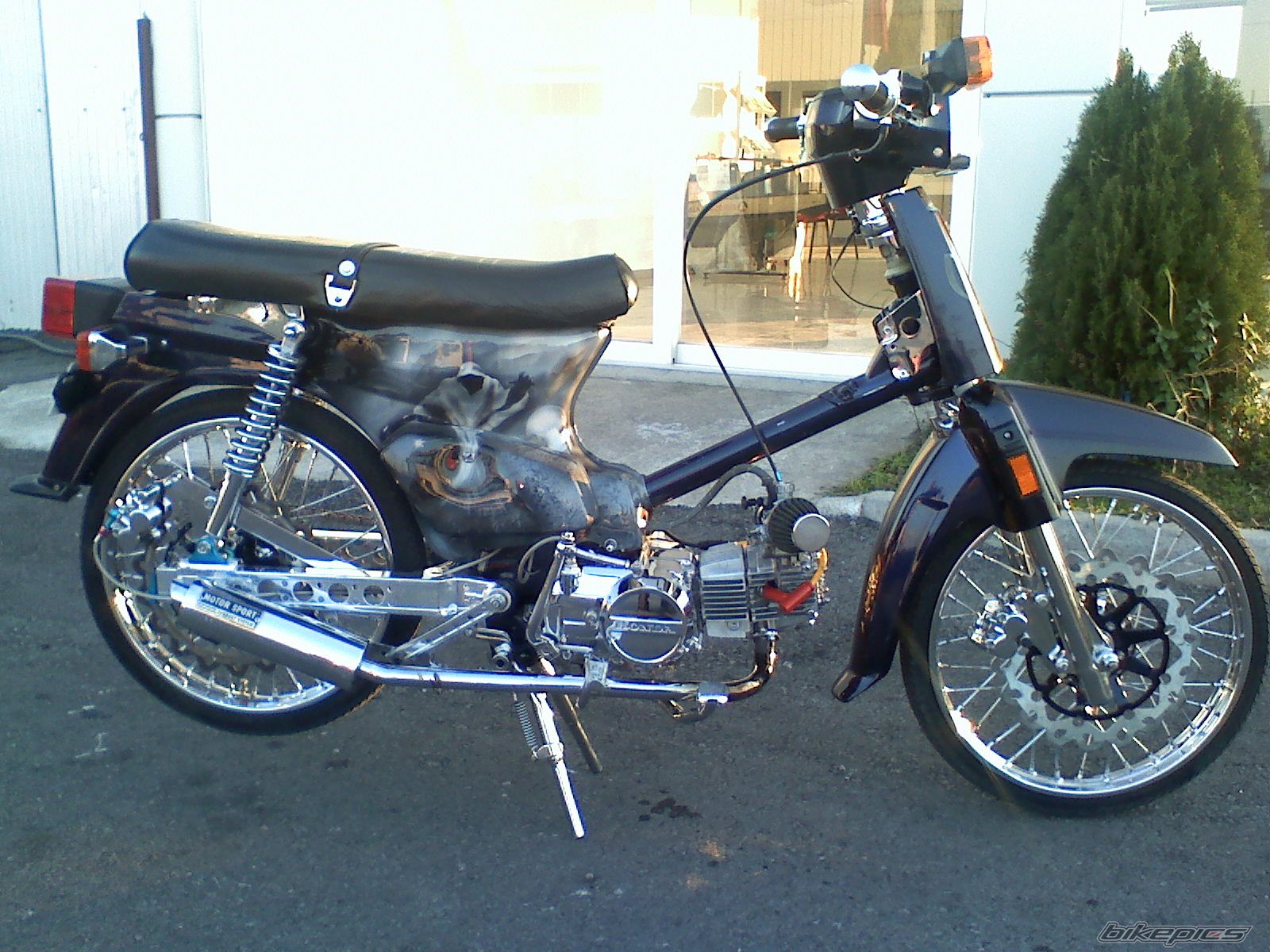 Photo 1482079