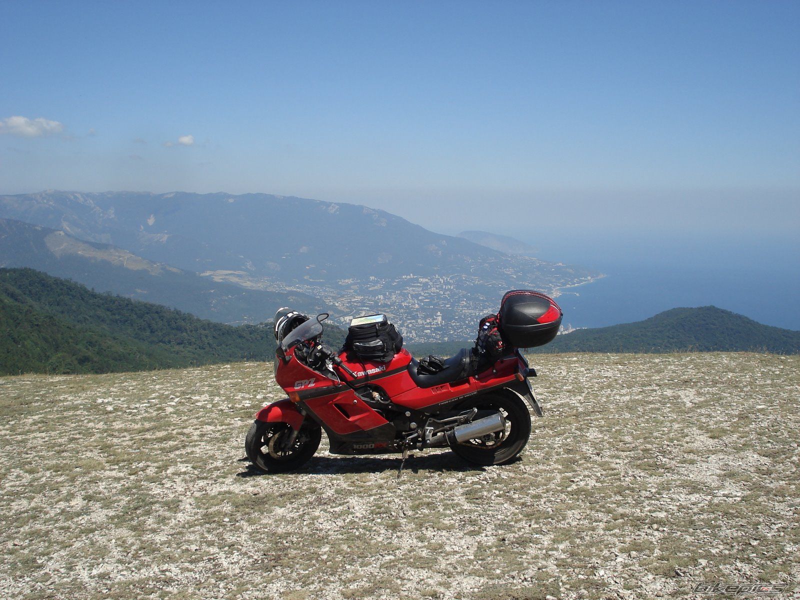 Photo 1482125