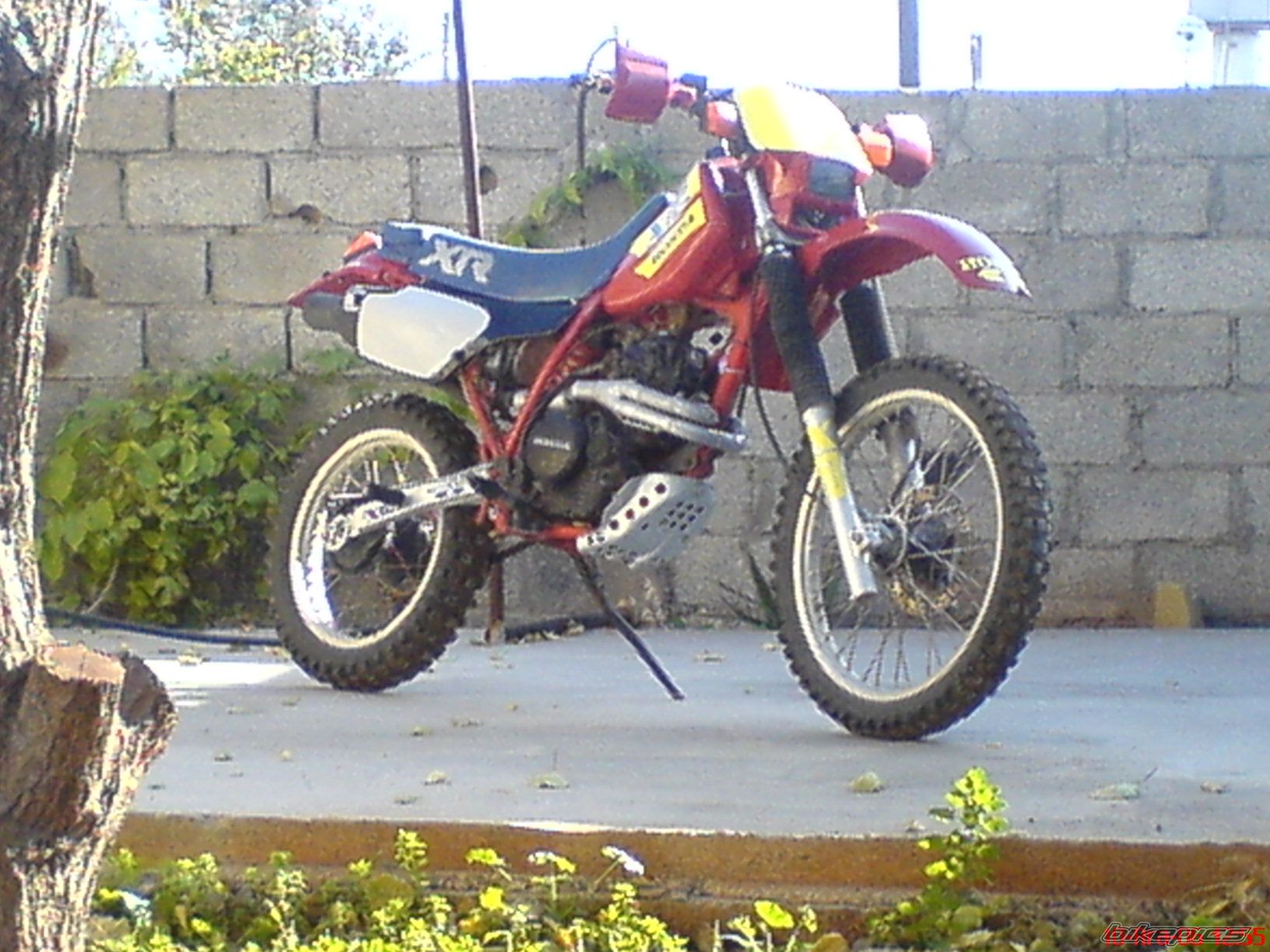 Photo 1482151