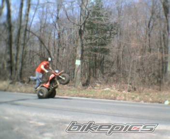 Photo 148216