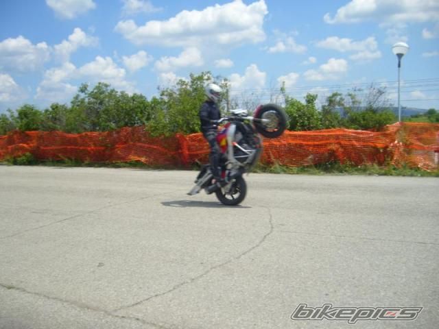 Photo 1482175