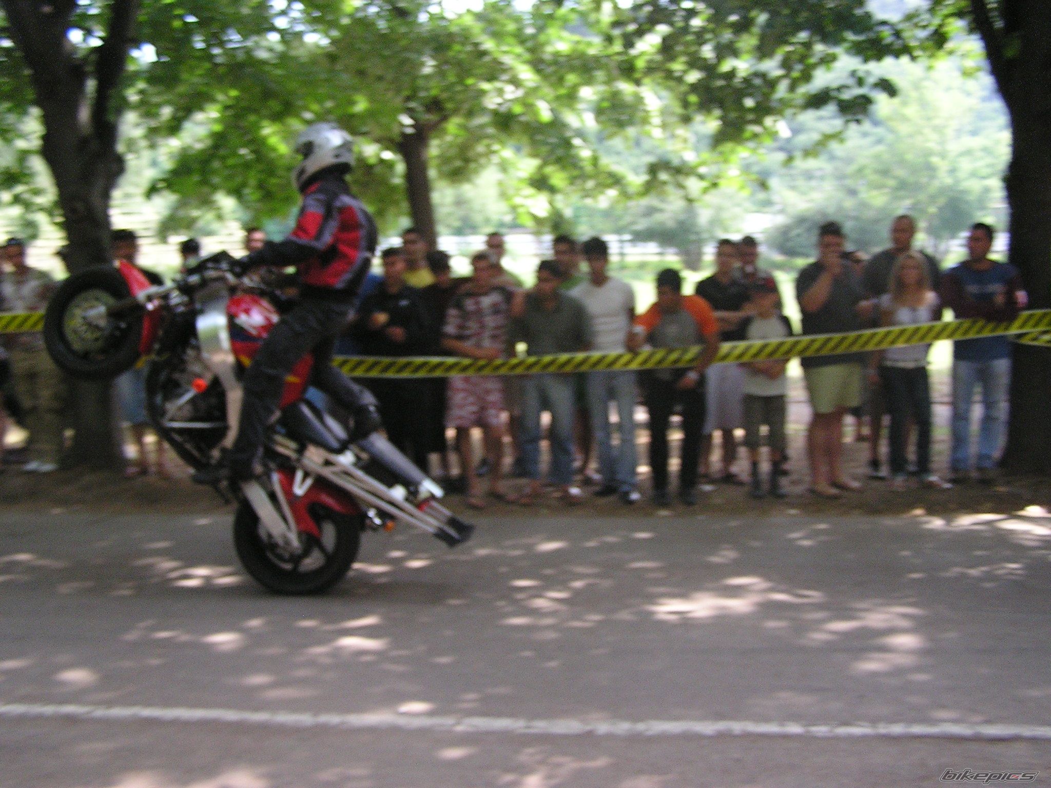 Photo 1482182