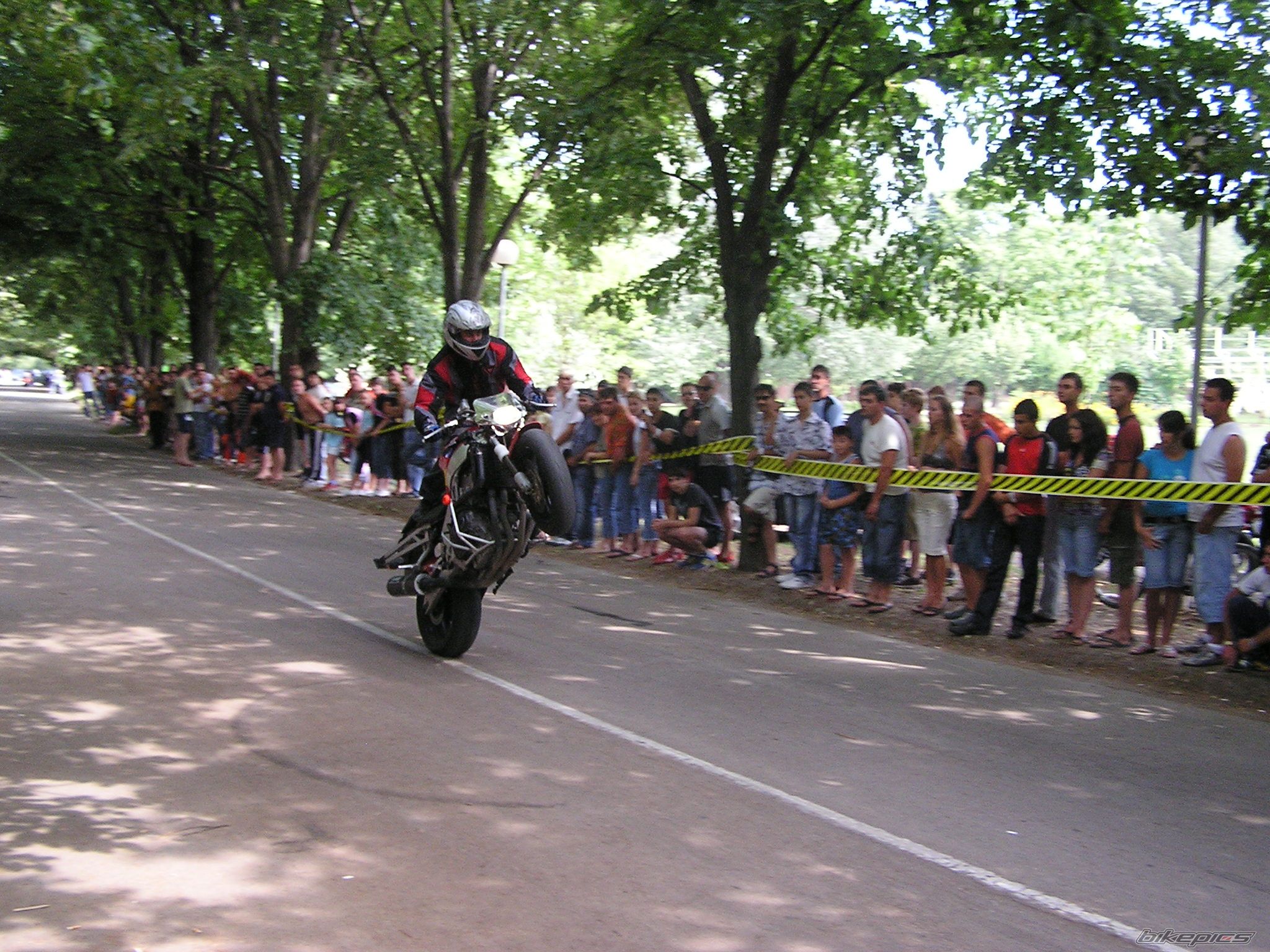 Photo 1482183