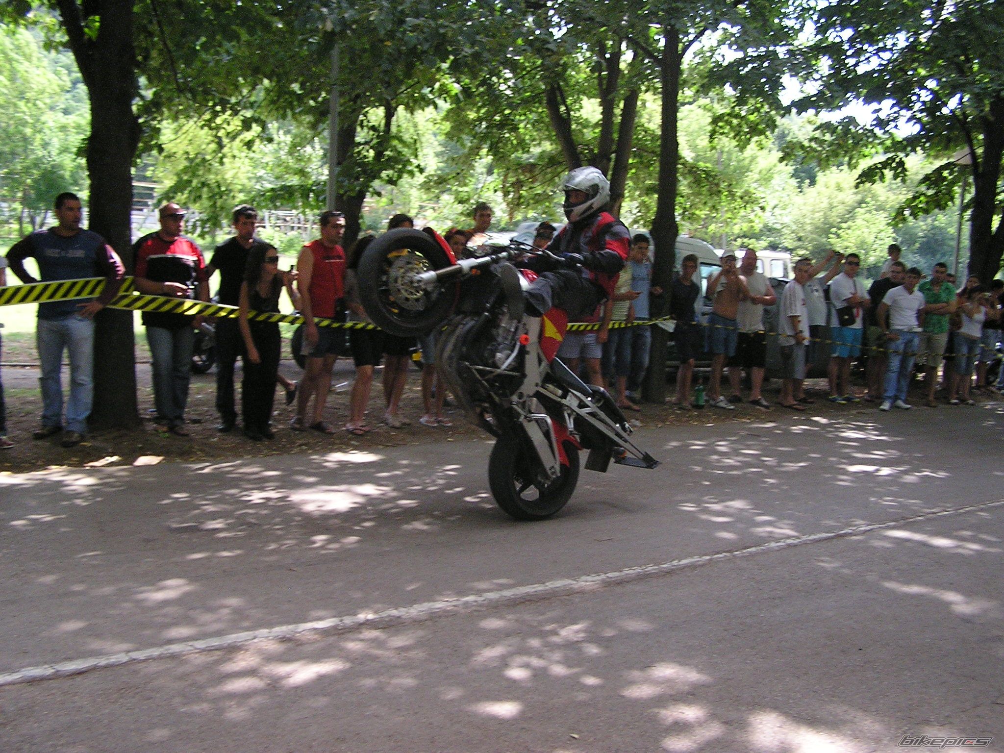 Photo 1482186