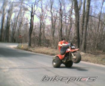 Photo 148222