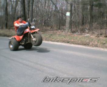 Photo 148223