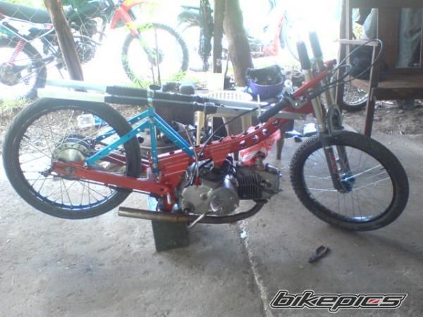 Photo 1482246