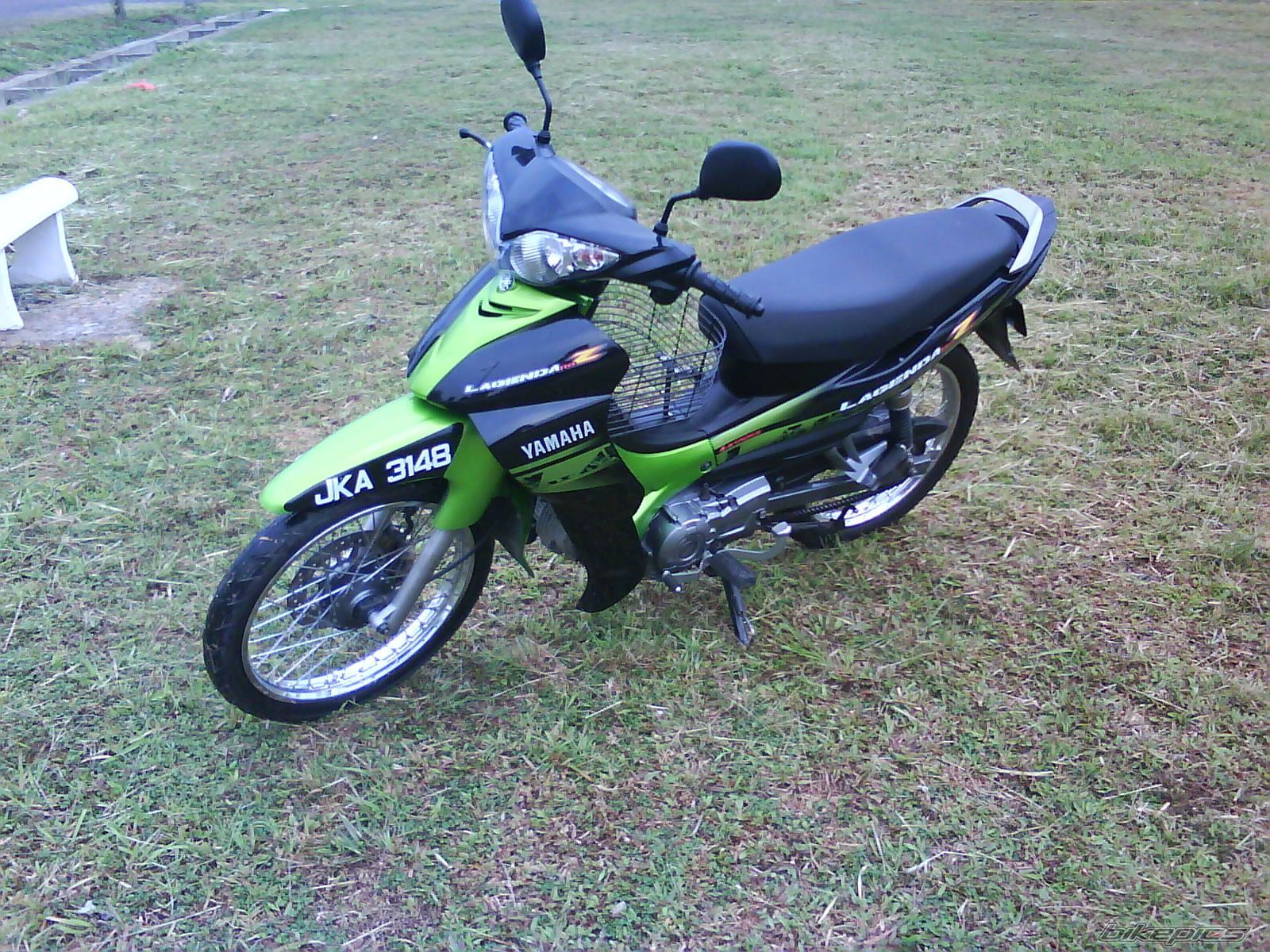 Photo 1482273