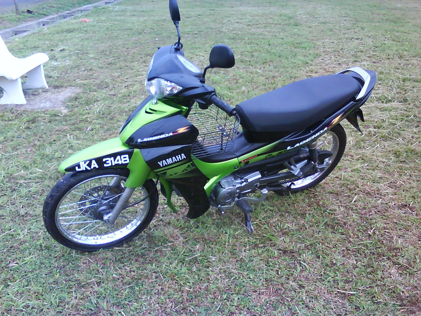 Photo 1482276