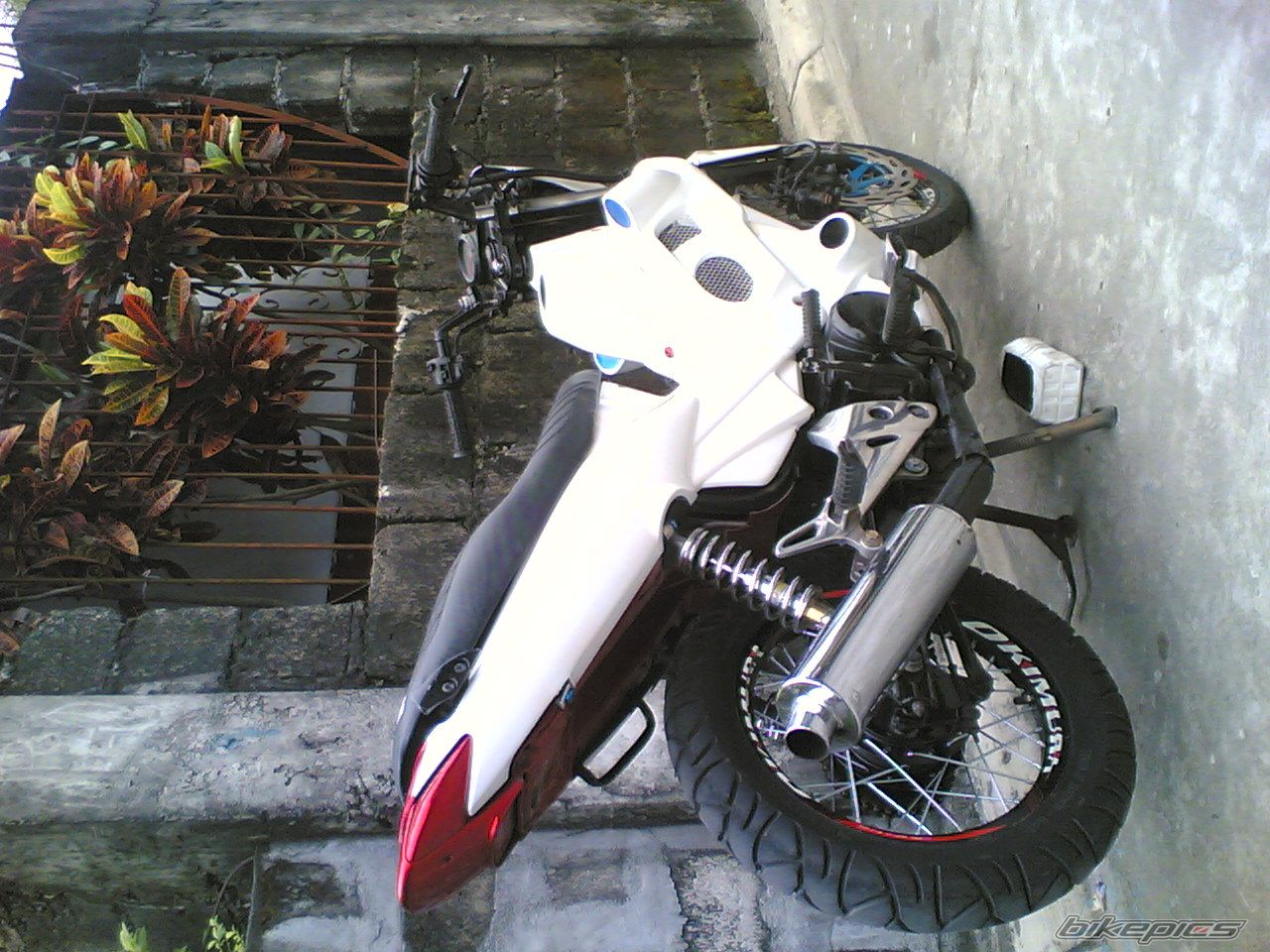 Photo 1482293