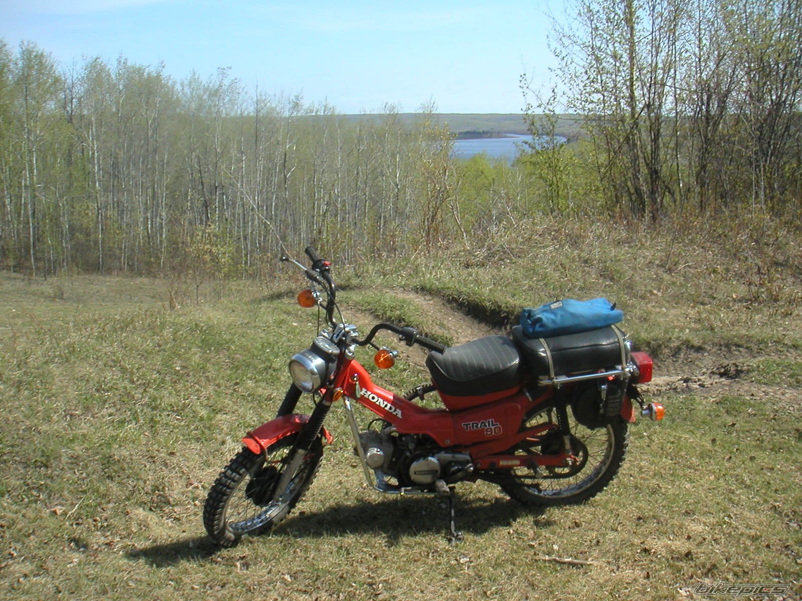 Photo 1482324