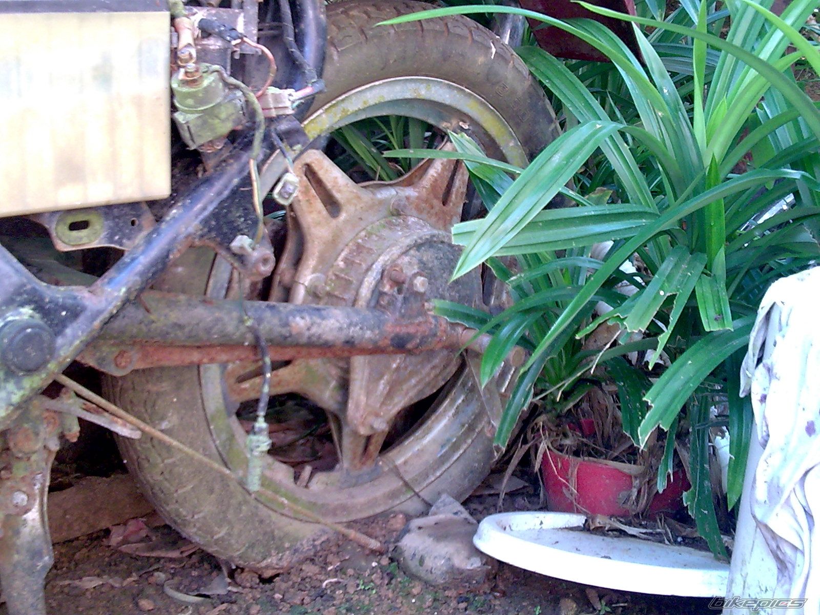 Photo 1482363