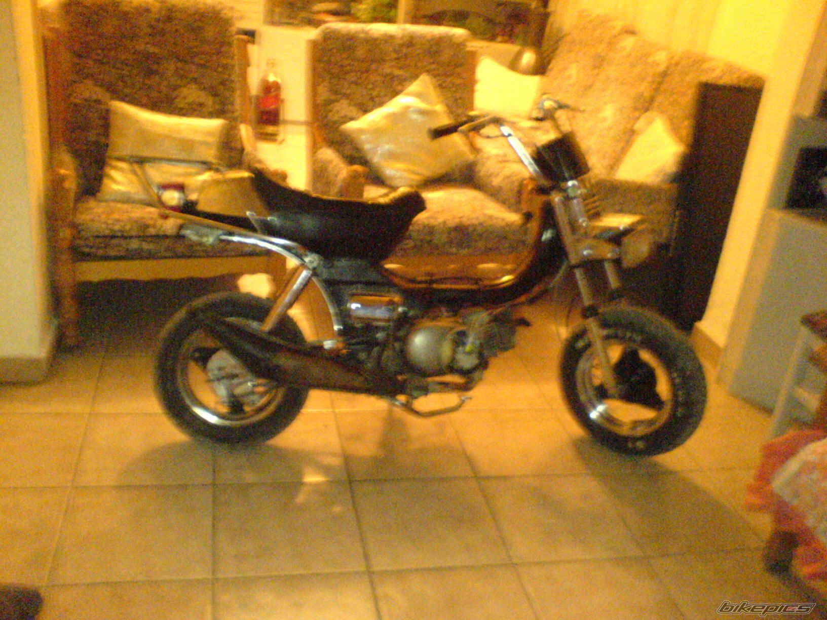 Photo 1482370