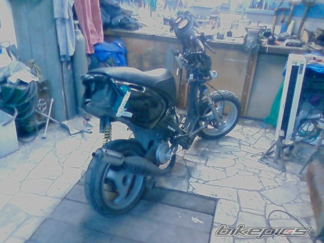 Photo 1482412