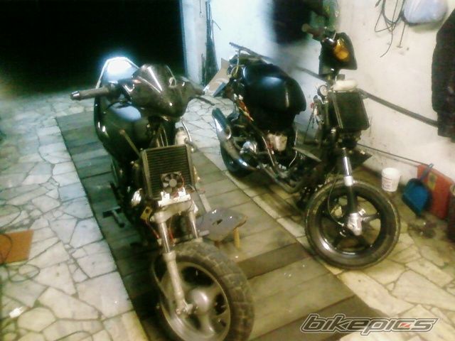 Photo 1482413