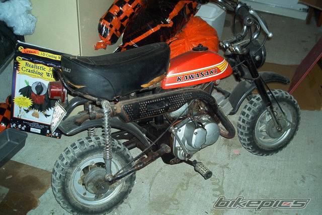 Photo 148242
