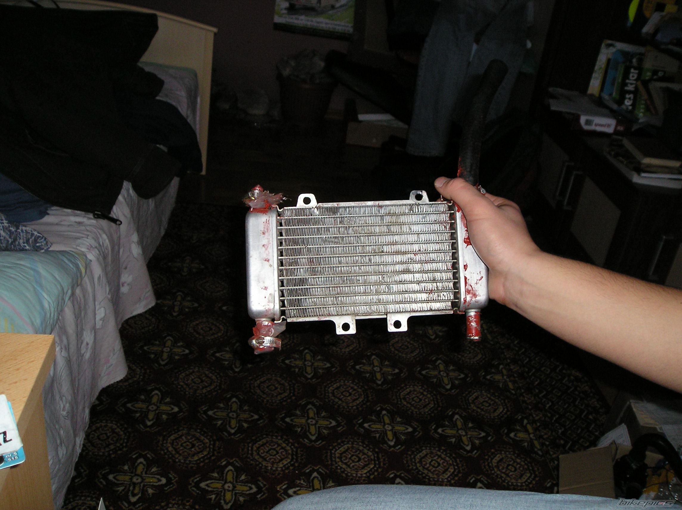 Photo 1482468