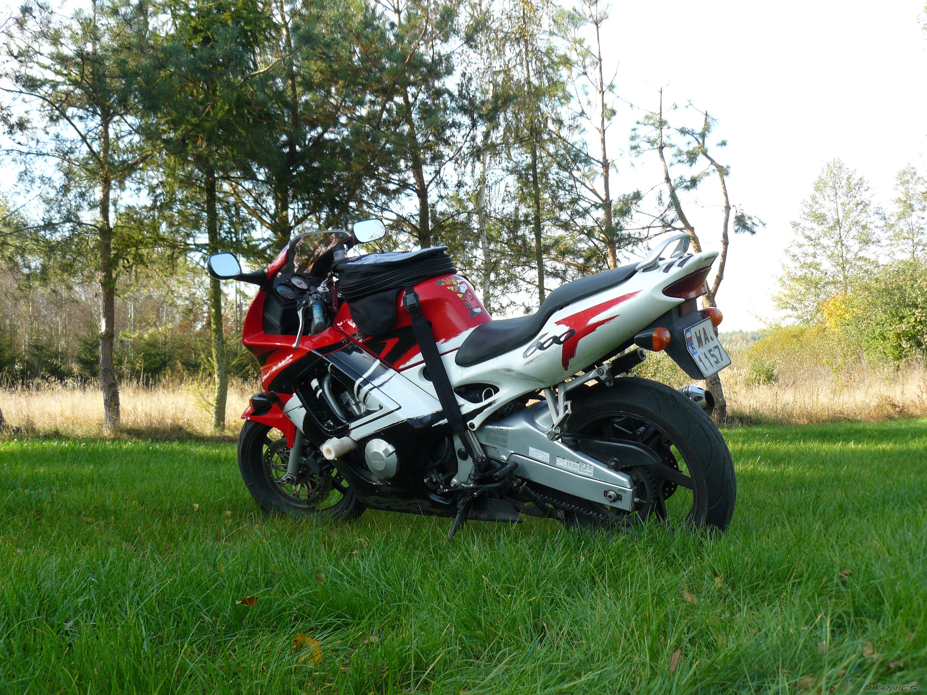 Photo 1482472