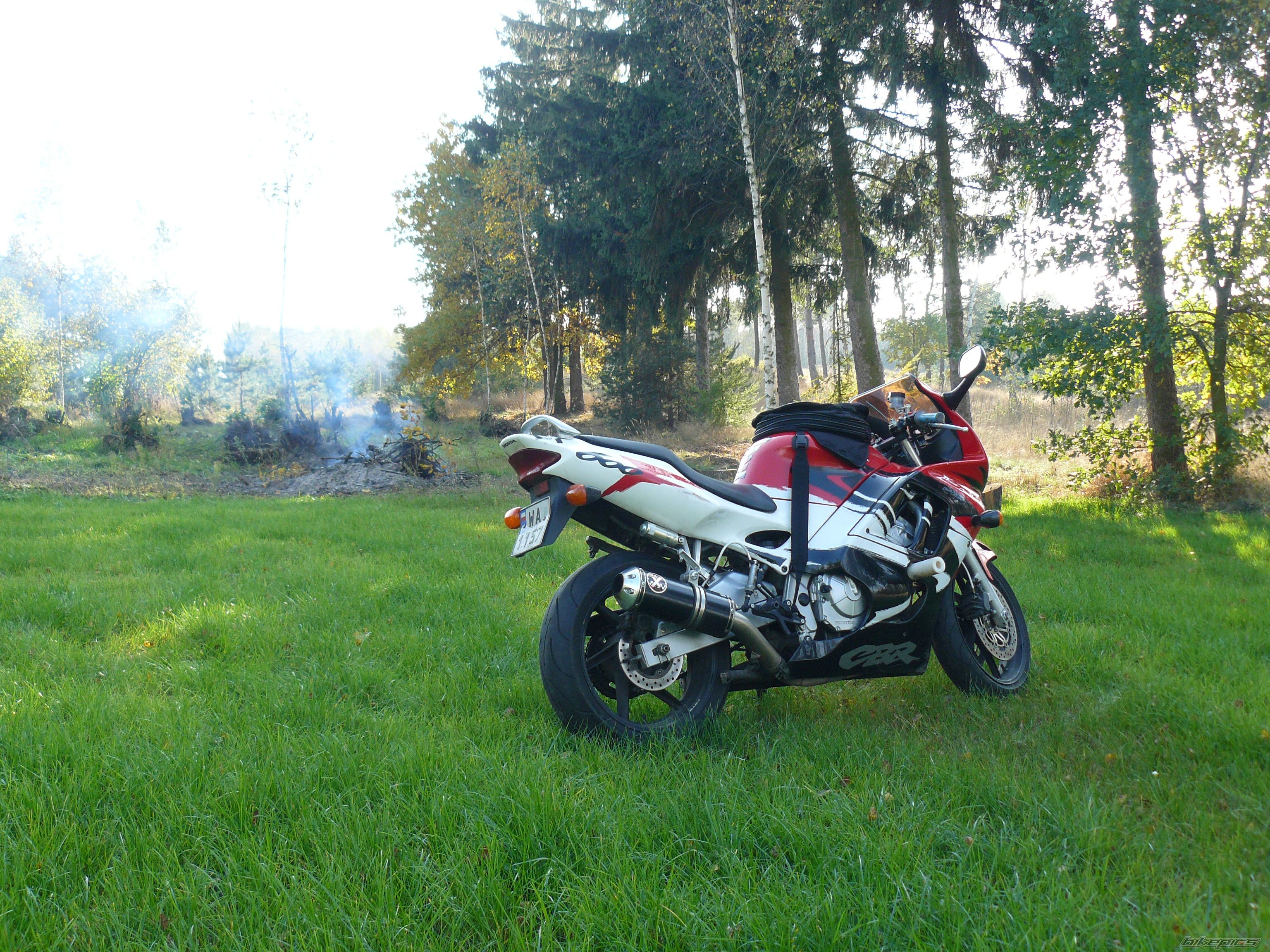 Photo 1482473