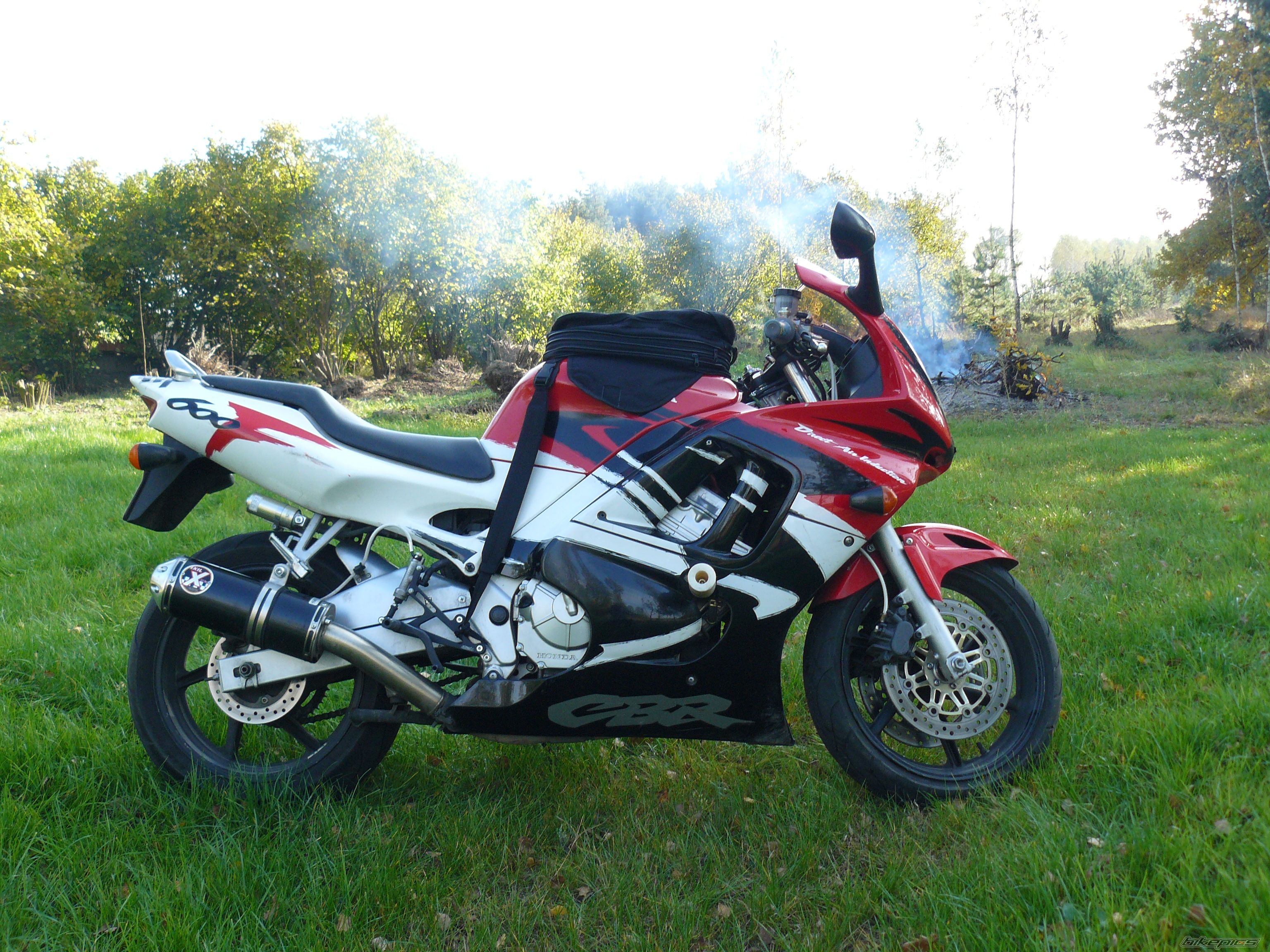 Photo 1482475