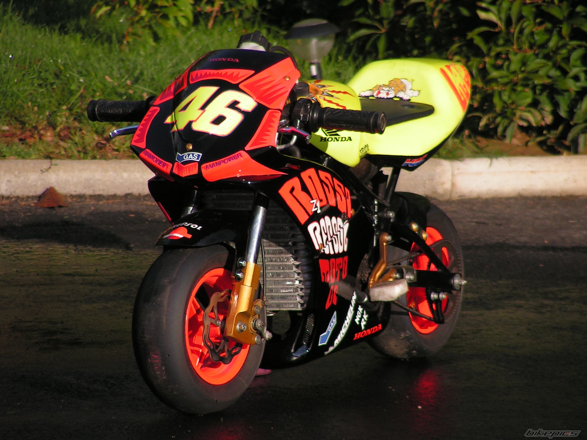Photo 1482498