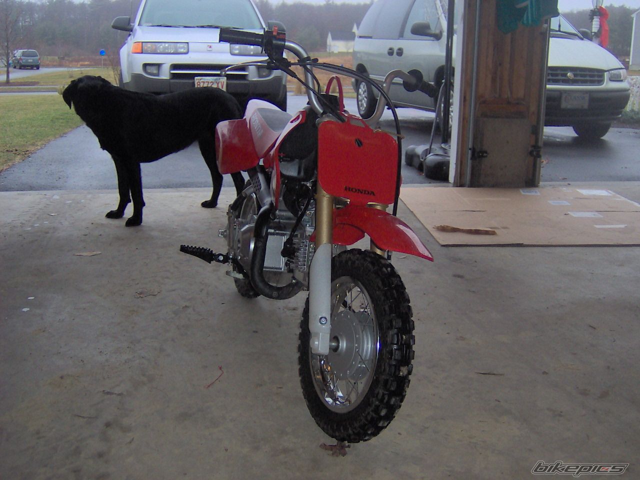 Photo 1482601